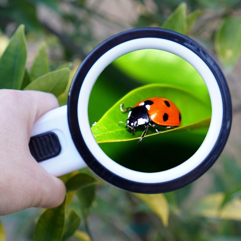 TMANGO Magnifying Glass with Light, 30X Handheld Large Magnifying Glass
