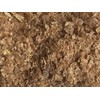BadAssBugs™ 2lb Premium Wheat Bran Mealworm Superworm Bedding | Organic