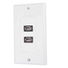 USB Wall Plate, Wall Mounting Wall Plate Panel, Wall Socket