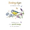 Easter Card Thinking of You - 8 x 6 inches - Regal Publishing