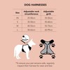 Dan & Sam Coastal Dog Harness - XSmall, Adjustable, Breathable,