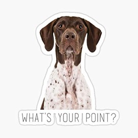 German Shorthaired Pointer What's Your Point Sticker - My STICKER Design - Sticker Graphic