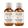 Greenwood Essential Pure Thyme Essential Oil (Thymus vulgaris) 100% Natural