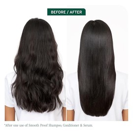 Biolage Shampoo SmoothProof | Limpia, Da Brillo y Controla el Frizz | Para Cabello Rebelde y con Frizz | Vegano |400ML