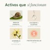 Crema Facial de Baba de Caracol con Colágeno y Hamamelis