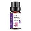 Liv Natural Uva Natural Aceite Esencial De Loto 10ml Aromaterapia