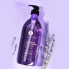 Luseta Lavender and Collagen Body Wash 33.8oz, Lightly Scented Daily