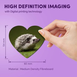 1 x Heart MDF Magnets - Hedgehog Garden Wildlife British 8246