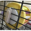 Pet Shop America Bird Cage Aviary 5 Toys Perch Swing