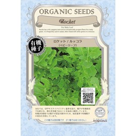 Green Field Baby Leaf Model Rocket/Arugula [Small Bag] A065