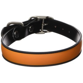 All Style 17-Inch by 21-1/2-Inch No Stink Dog Collar, Large, Hunter Orange