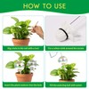 13 oz Up 2 Weeks Large Plant Watering Globes -