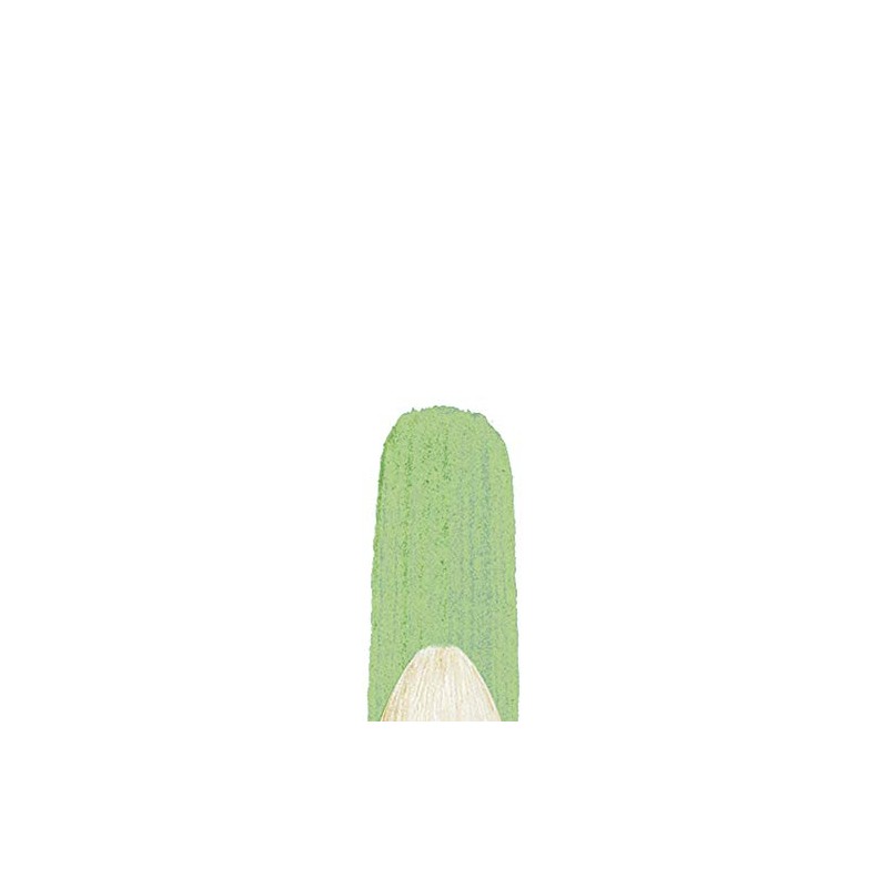 Winsor & Newton Size 6 Winton Hog Filbert Brush