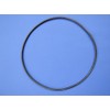 Oase Filtoclear – Large Sealing Ring for Lid Jar of