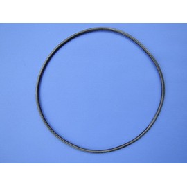 Oase Filtoclear – Large Sealing Ring for Lid Jar of Spare Filter LEARS
