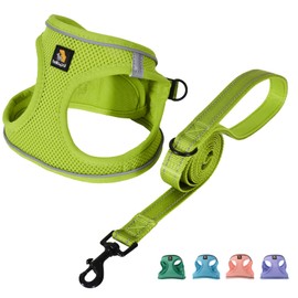 BELLA & PAL Puppy Harness with Leash Set, Step in Harness for Small Dogs, Dog Air Mesh Dog Vest Harness with Reflective Strip, No Pull No-Chock Harness for XXS, XS, Small, Medium Dog Cat (Mokka, XS)