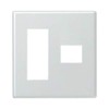 Panasonic (Panasonic) New Metal Wallplate, 2 Outlet Plate 2 連用 For 4 Pcs/3 Pcs + 1 Pcs for wtf9274