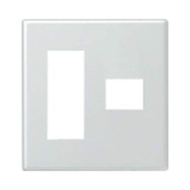 Panasonic (Panasonic) New Metal Wallplate, 2 Outlet Plate 2 連用 For 4 Pcs/3 Pcs + 1 Pcs for wtf9274