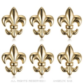 BOBIJOO JEWELRY - Set of 6 Epingle Broche Pins Fleur de Lys Patriote Laiton Doré Or 22 x 16 mm, Metal