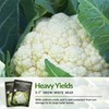 Snowball Cauliflower Seed for Planting - 2 Packets with Instructions