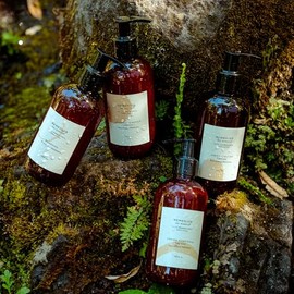Remedios del Bosque Kit Completo Limpia, Nutre y Humecta Cuerpo y Cabello, Aroma Flores Silvestres, sin Sulfatos, sin Parabenos, Incluye Shampoo,...  