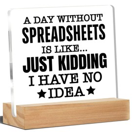 HR Office Desk Decor, Office Signs a Day Without Spreadsheets Is Like Just Kidding I Have No Idea Acrylic Desk Plaque Sign Home Office Decoration 4 x 4 Inches