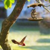 Animal Squirrel Bird Feeder with Umbrella, Outdoor Squirrel Holding Umbrella