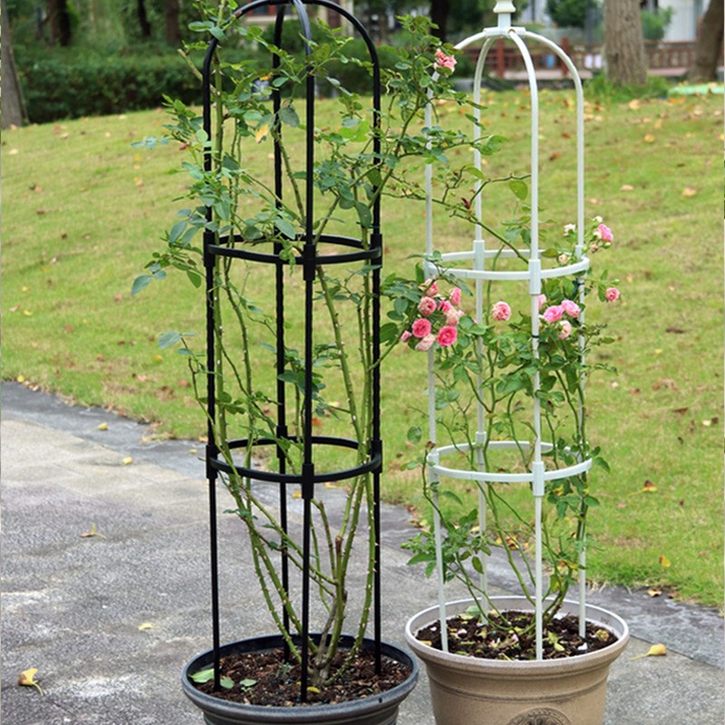 Garden Obelisk Multipurpose Innovative Sturdy Structure Climbing Plants Support for