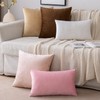 EMEMA Velvet Cushion Cover, Decorative, for Sofa, Bedroom, Lumbar Cushions,