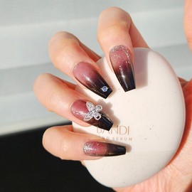 Black see-through handmade nail tips - Ballerina M / 블랙 시스루 수제네일팁 - 발레리나M