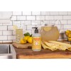 Mrs. MEYER'S CLEAN DAY Liquid Hand Soap, Cruelty Free, Hand