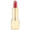 Vivid Color Lipstick with a Single Touch Shade 553