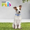 Fancy Pets Collar Galería Sky Look Tamaño Chico para Perro