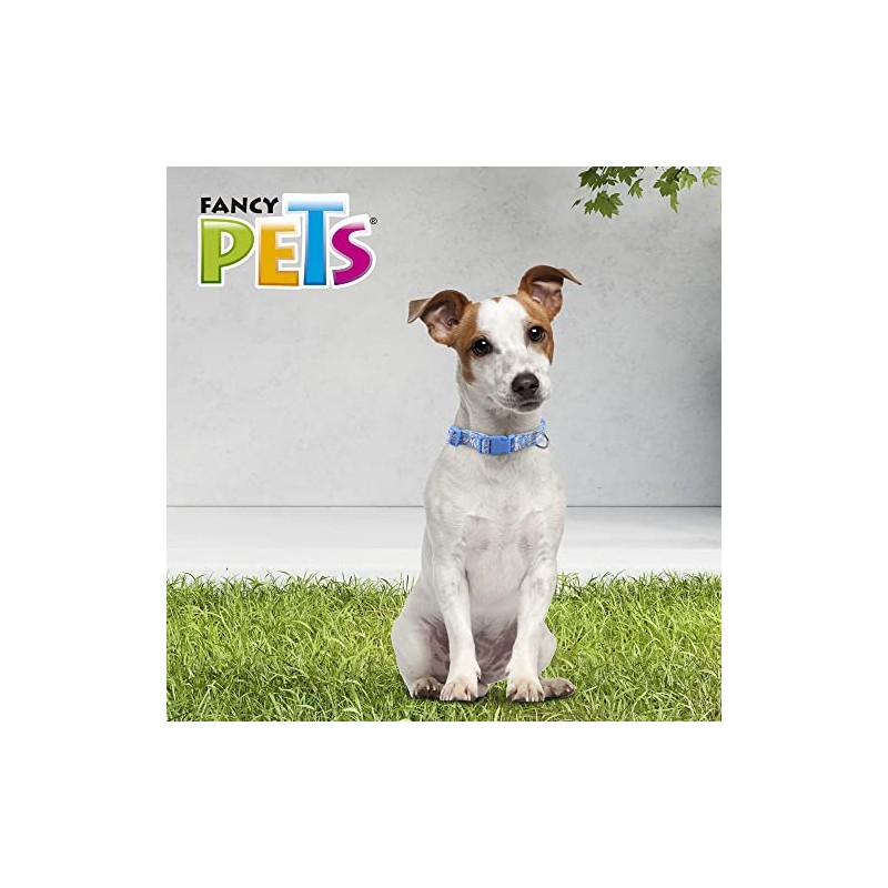 Fancy Pets Collar Galería Sky Look Tamaño Chico para Perro