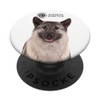 AKC Norwegian Elkhound Photo PopSocket