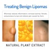 Crema Para Lipomas Y Bultos Grasos South Moon 20g Ginger