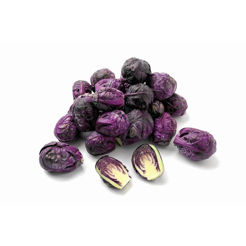 CEMEHA SEEDS - Purple Brussels Sprouts Long Island Cabbage Non