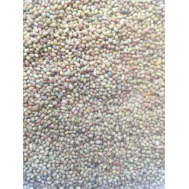 150,000 Microgreens Alfalfa Seeds Mix Salad Sprouts Organic Non GMO 12oz