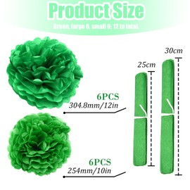 Hocansen 12Pcs Tissue Paper Pompoms 10in+12in Pom Poms Flowers Fluffy Flower Ball for Wall Party Hanging Decoration (RQH/Green)