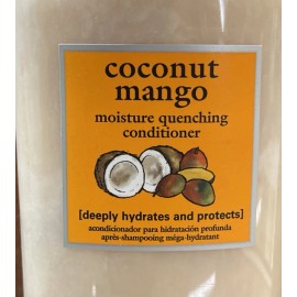 Back to Basics Coconut Mango moisture quenching conditioner 12 oz HTF