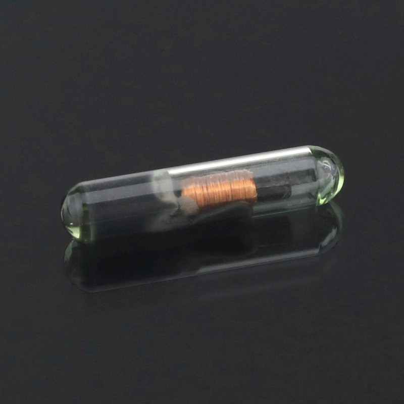 Be In Your Mind Car Key Fob Chip Transponder ID48