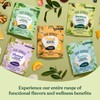 Four Sigmatic Protect Organic Herbal Tea | Immunity Tea w/Chaga