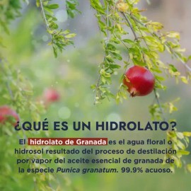 Hidrolato Puro de Granada Hebbe Cosmetics para Piel Mixta y Grasa 500 mL