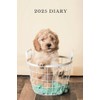 Cockapoo Diary 2025: Week to view, 9 x 6 inch,