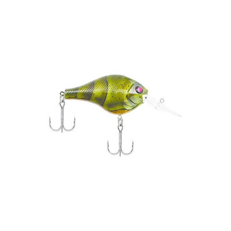 Berkley - Anzuelo de Pesca de Agua Dulce (Todos los