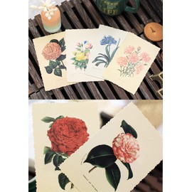 Artistic Flower Postcards,Retro Style Assorted Postcards Set of 30,Different Designs of Flowers,Perfect for Wedding Party Guest Book (Multi-Flower)