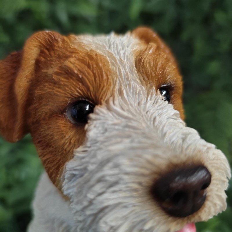 Vivid Arts - Wire Hair Jack Russell - Indoor Outdoor