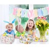 DDBASKET 2 Pack Small Easter Basket for Kids Gift Bunny