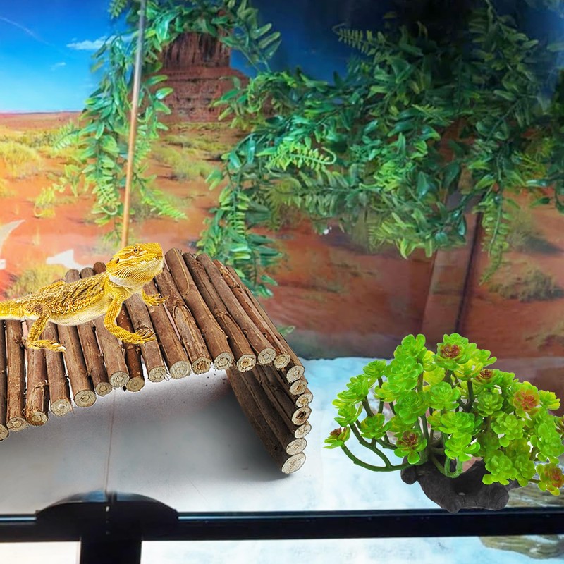MUYG 3 PCS Bearded Dragon Tank Accessories, Reptile Hideout Wooden