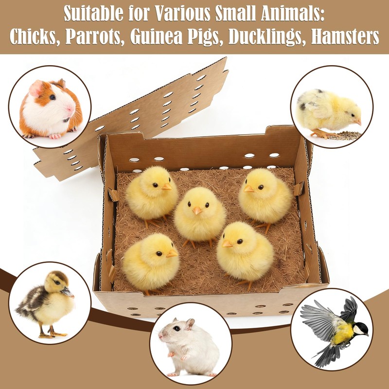 10 Set Poultry Baby Chick Shipping Boxes with 10 Coconut